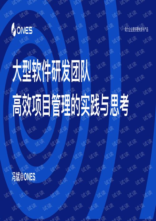 大型軟件研發團隊高效項目管理的實踐與思考 以教育軟件為例